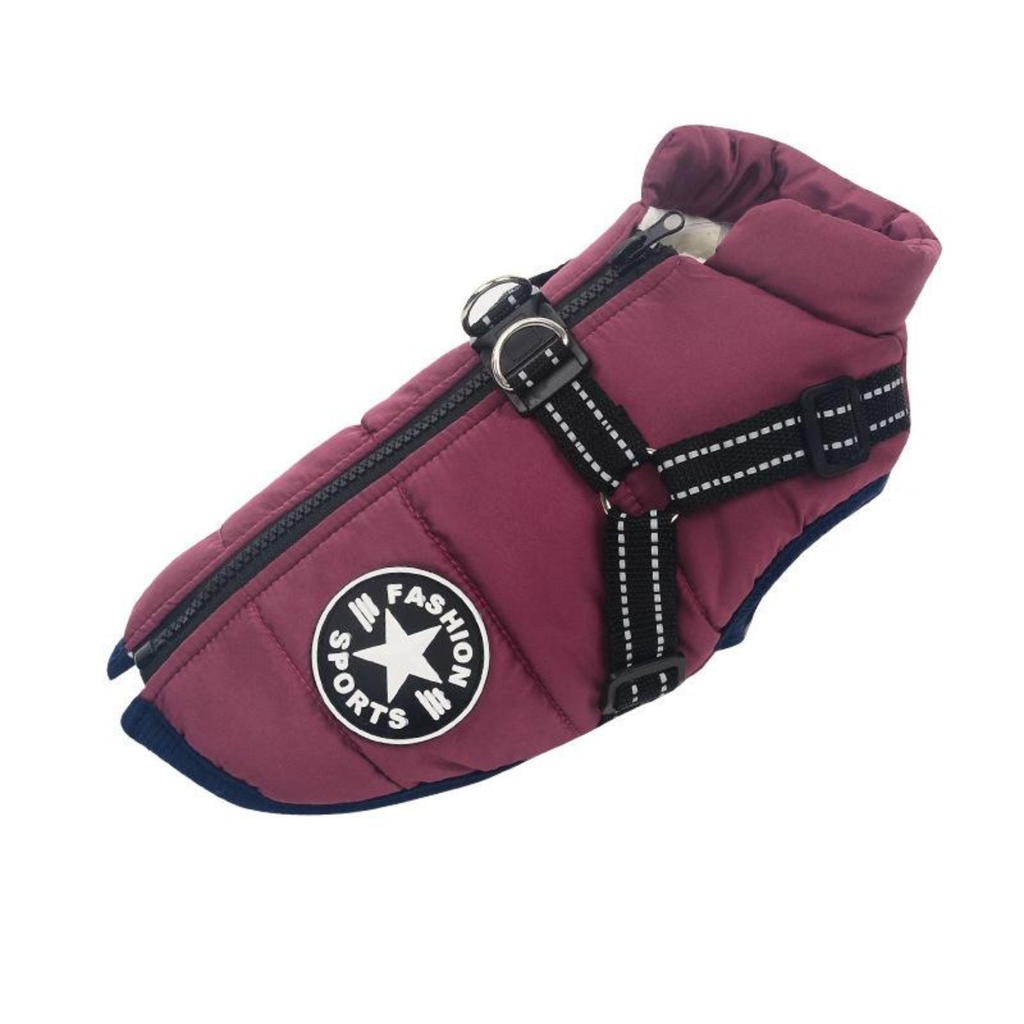 HundJackan – håller din hund varm i vinterkylan