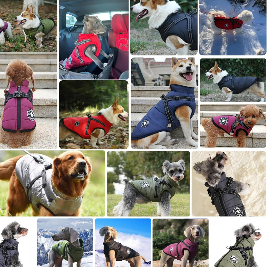 HundJackan – håller din hund varm i vinterkylan